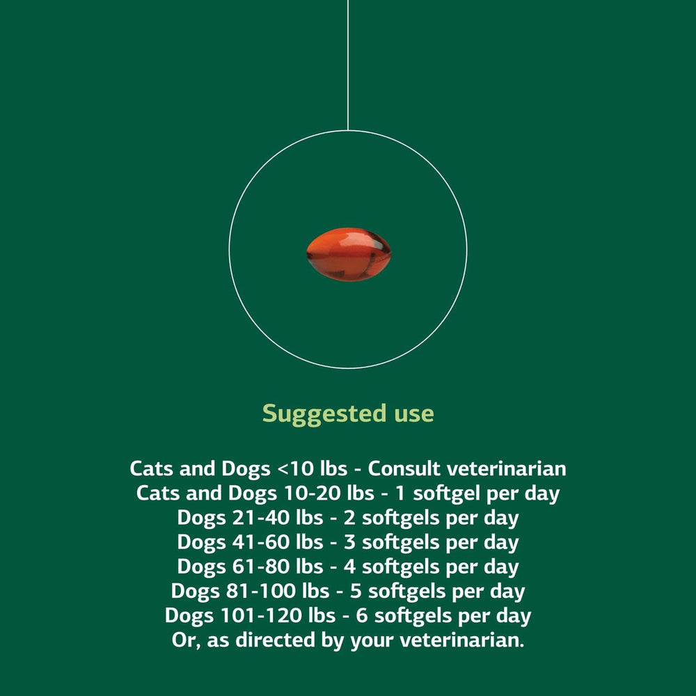 Standard Process VF Omega-3 for Pets illustration of a vet-recommended supplement routine