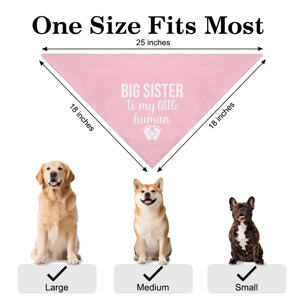 Vgrti big sister dog bandana for baby gender reveal, perfect for playful shower snaps.