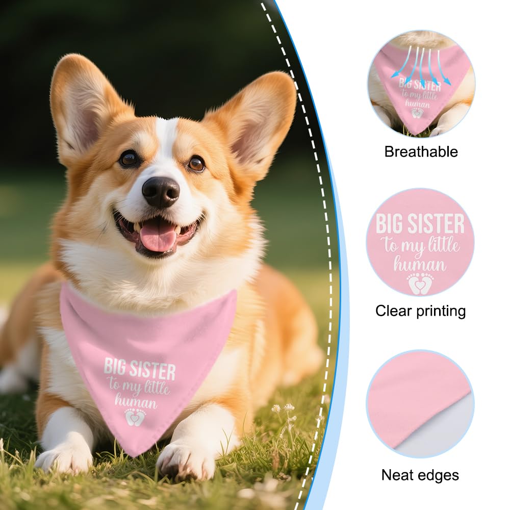 Vgrti dog bandana with gift-ready packaging, ideal for dog lovers gift-giving.