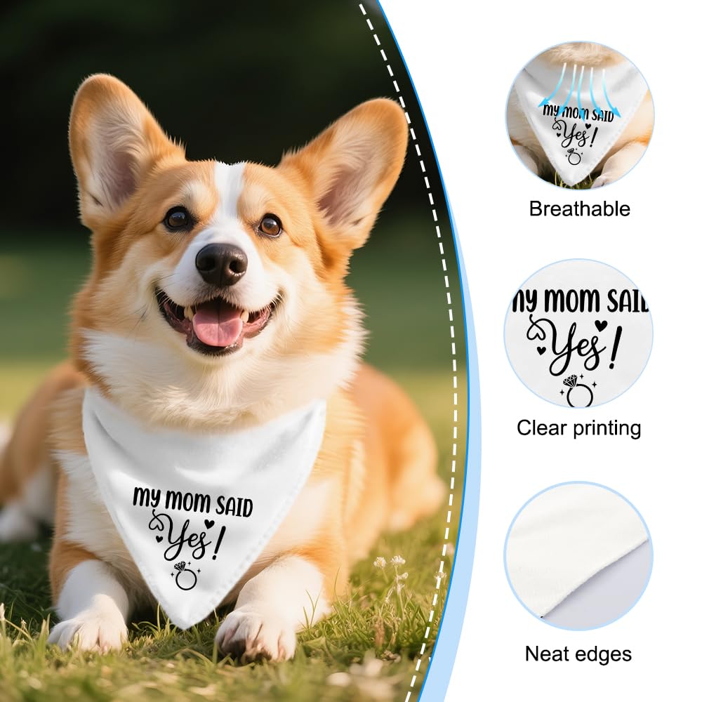Vgrti dogs-wedding-bandana-outfit adds instant style for the ceremony