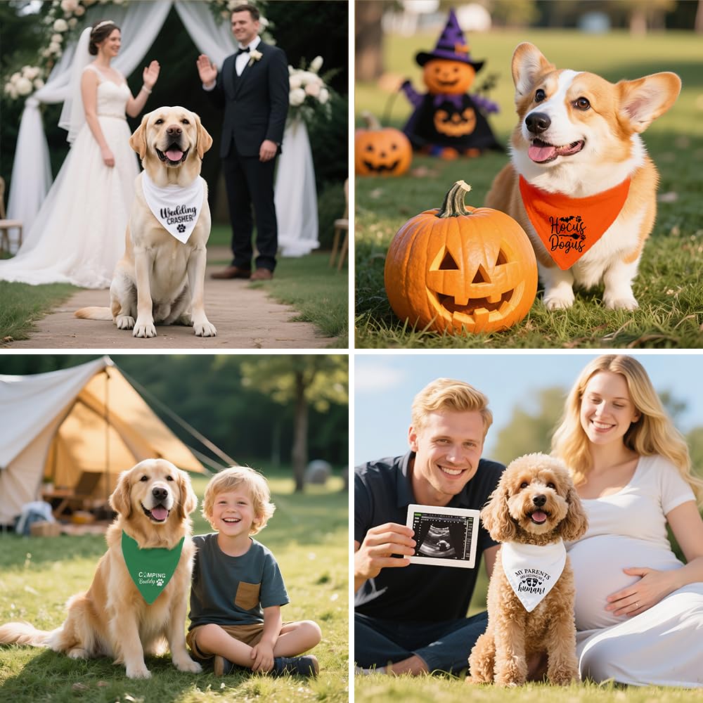 Vgrti pet photo session dog bandana wear enhances memory-making moments.
