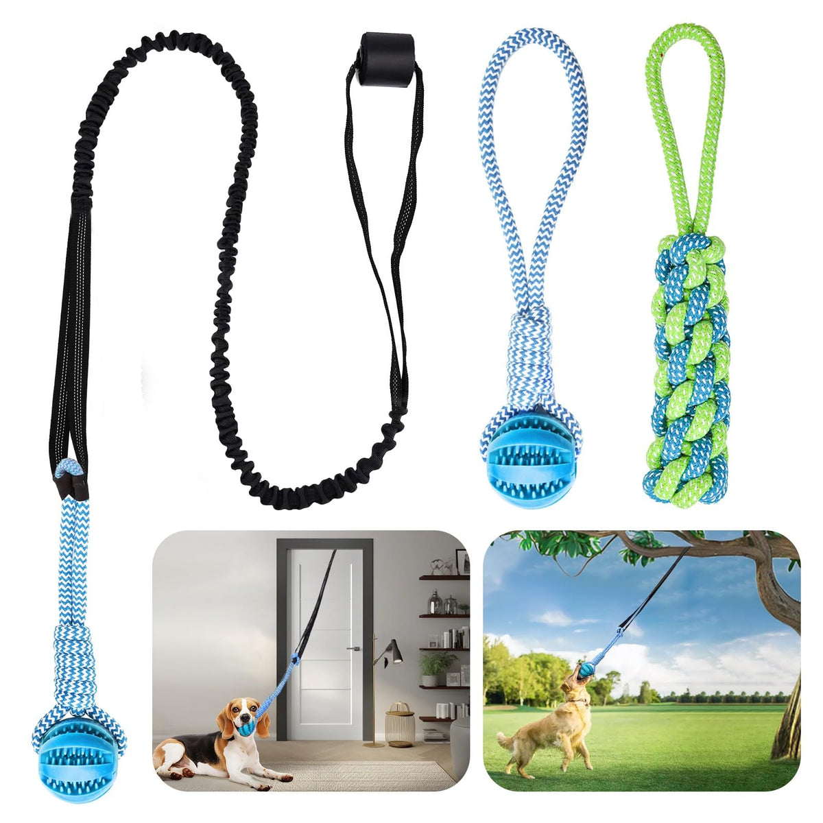 VibeVerve dog-bungee-ball in action, bouncing for interactive play with a small dog