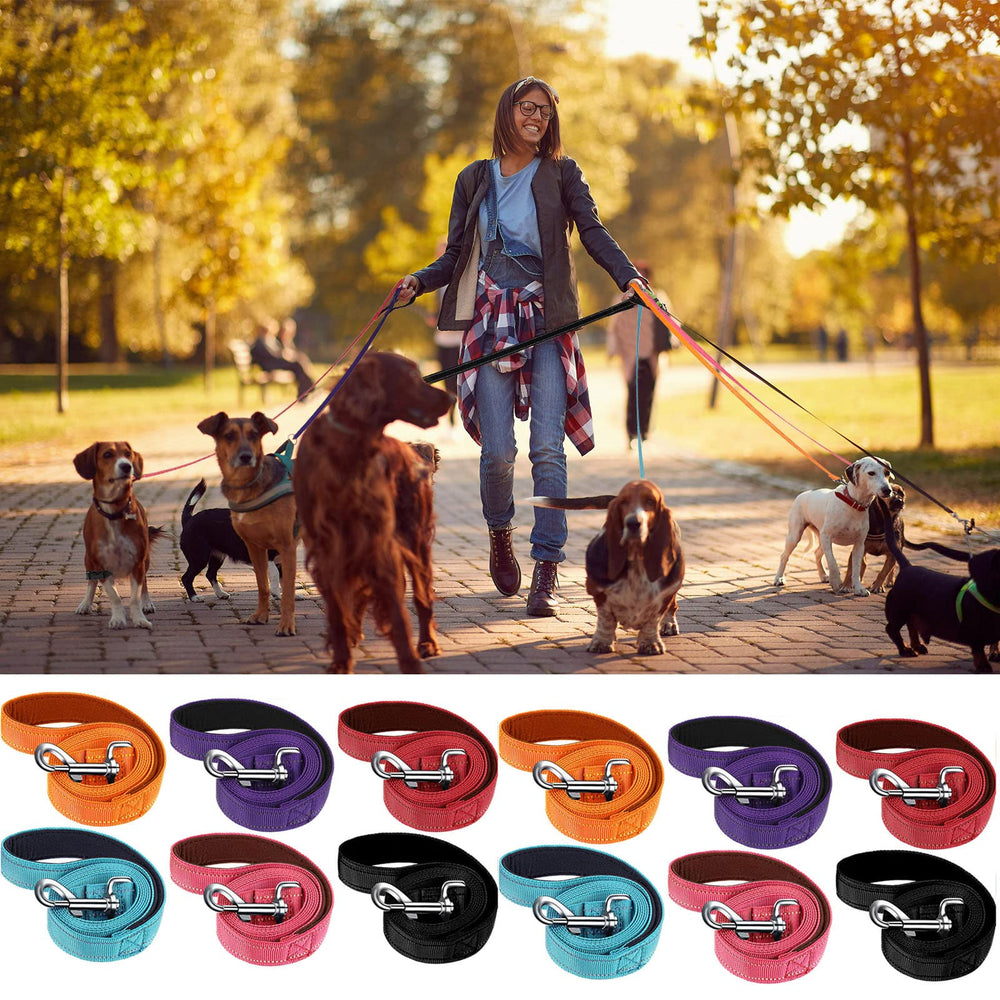 Vicenpal six-color pack of dog leashes for style and multiple dogs