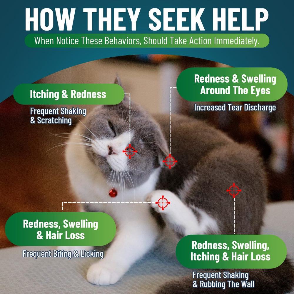 VICSOM cat allergy chews chicken flavor beside a bowl for easy feeding.