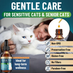 VICSOM-cat-enjoys-salmon-flavor highlights tasty way to support ongoing wellness