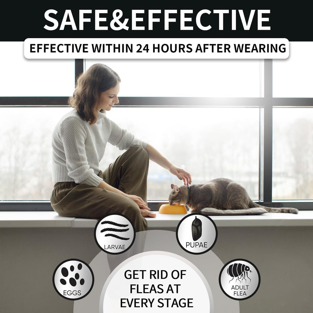 VICSOM waterproof cat flea collar in rain showing durability