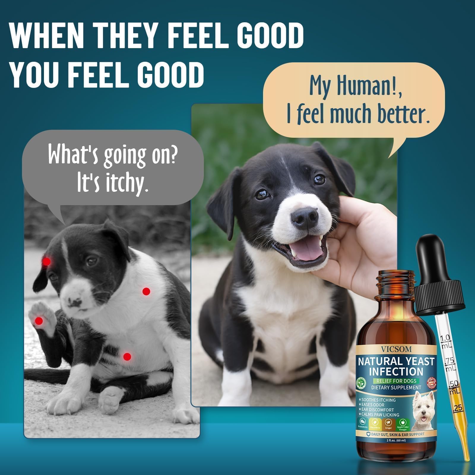 VICSOM digestive support liquid image suggests internal gut balance and immune potential
