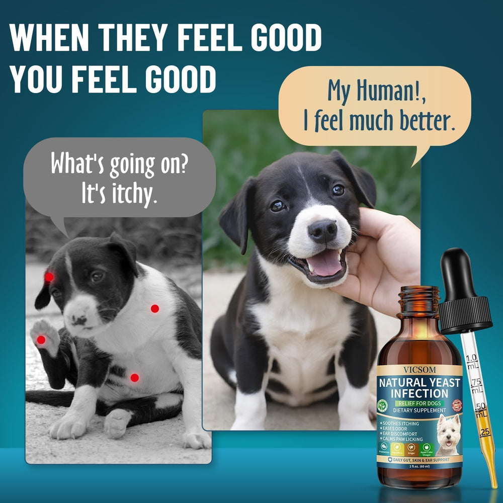 VICSOM digestive support liquid image suggests internal gut balance and immune potential