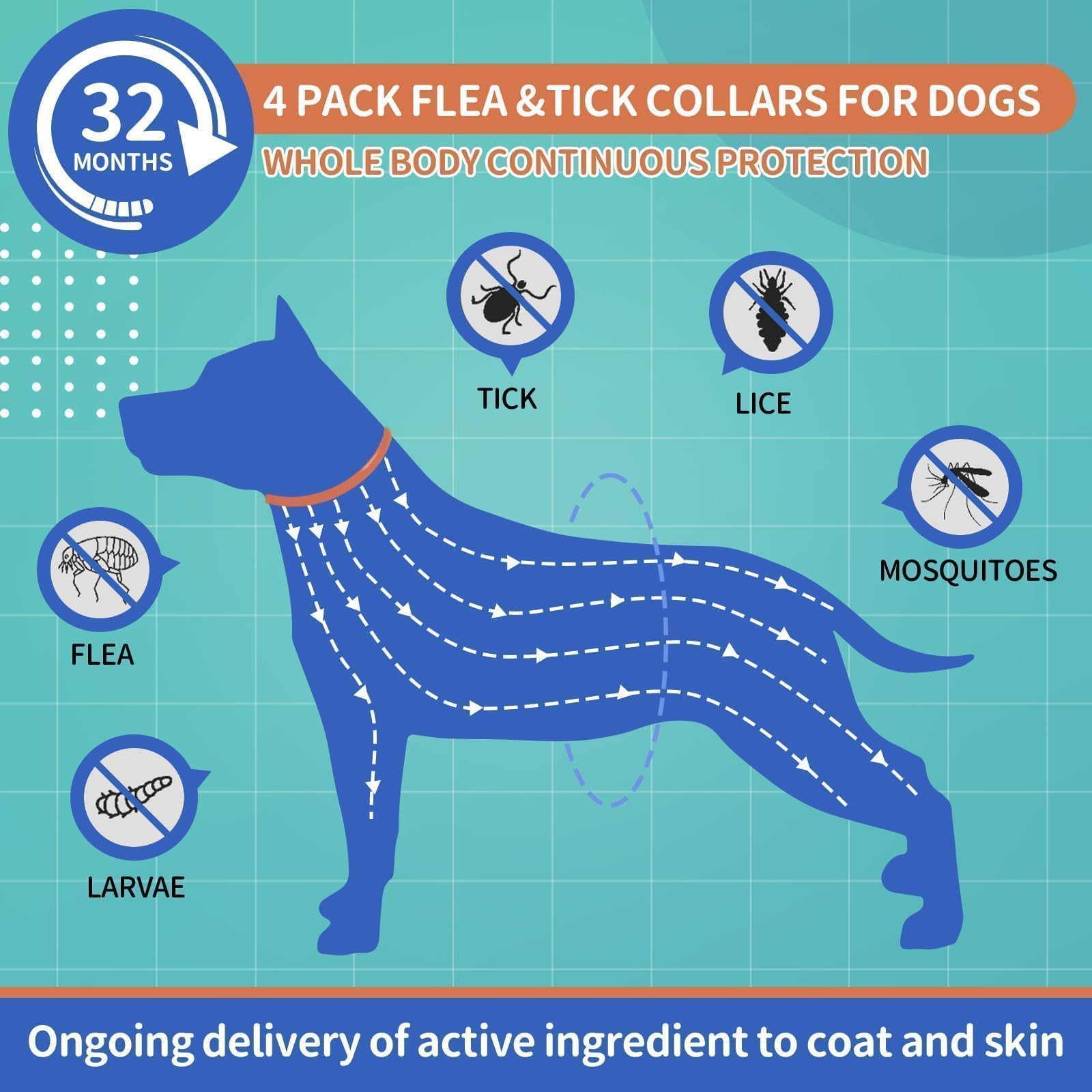 VICSOM adjustable dog flea collar demonstrates secure, comfortable wear during activity.