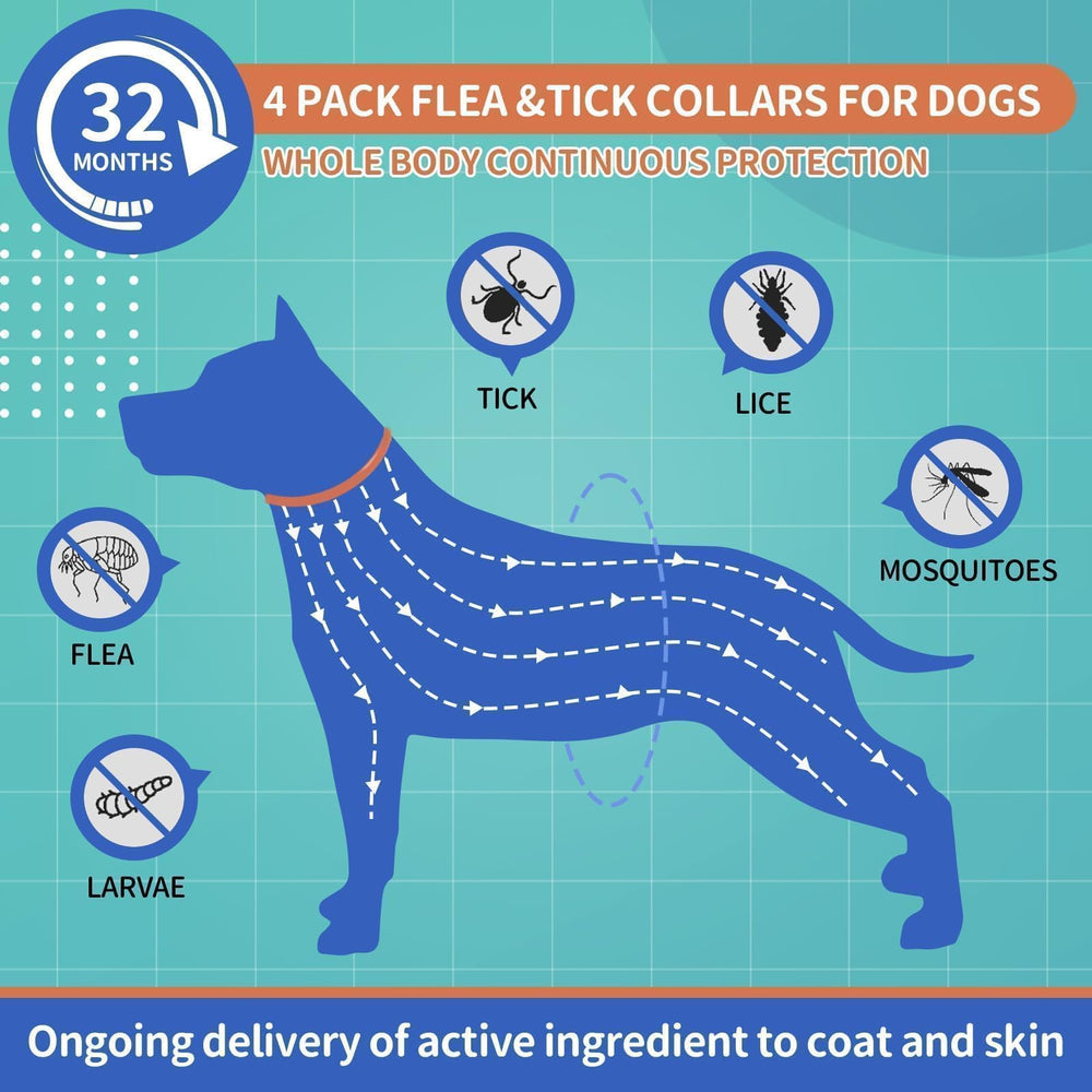 VICSOM adjustable dog flea collar demonstrates secure, comfortable wear during activity.