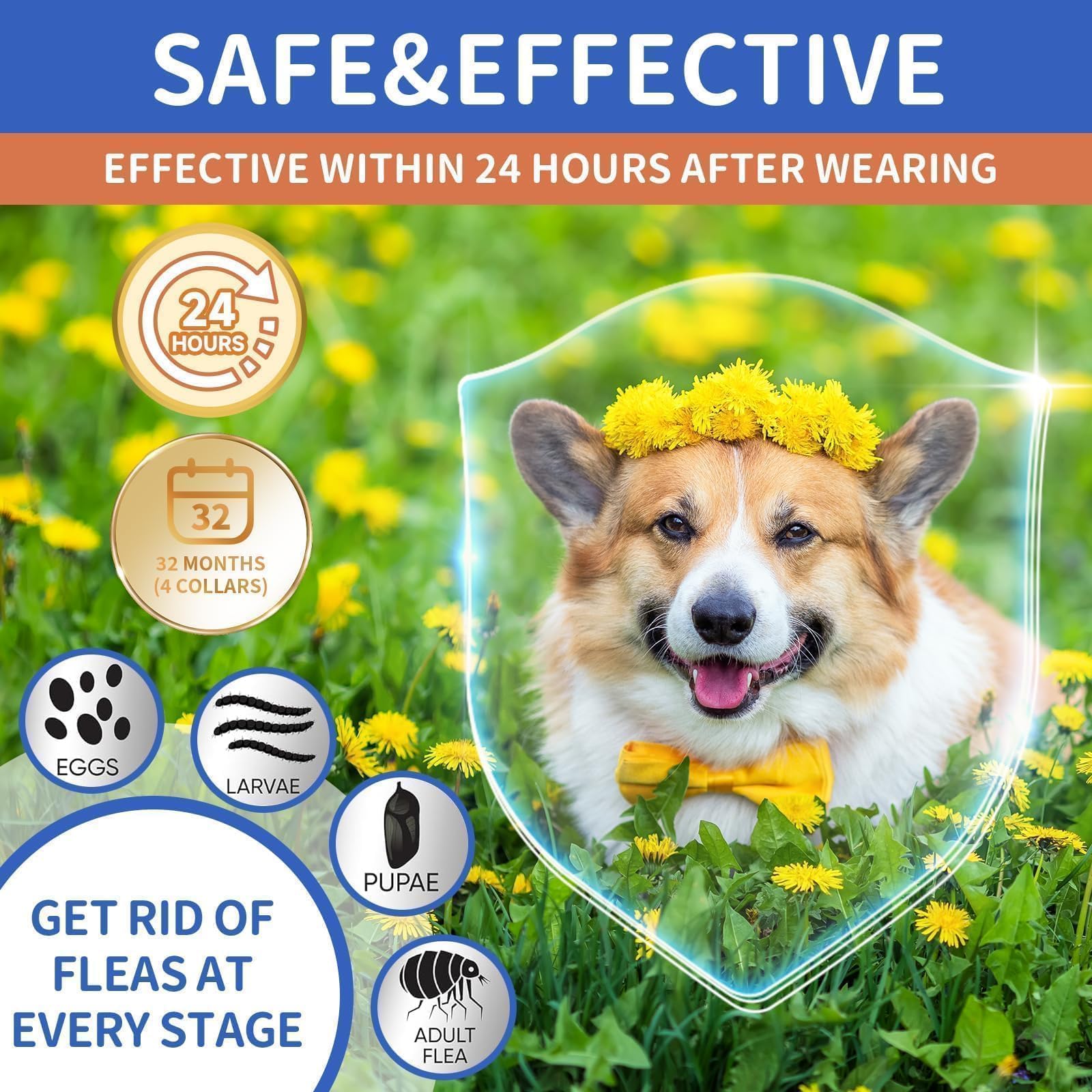 VICSOM waterproof dog flea collar shown on a dog during a wet walk.