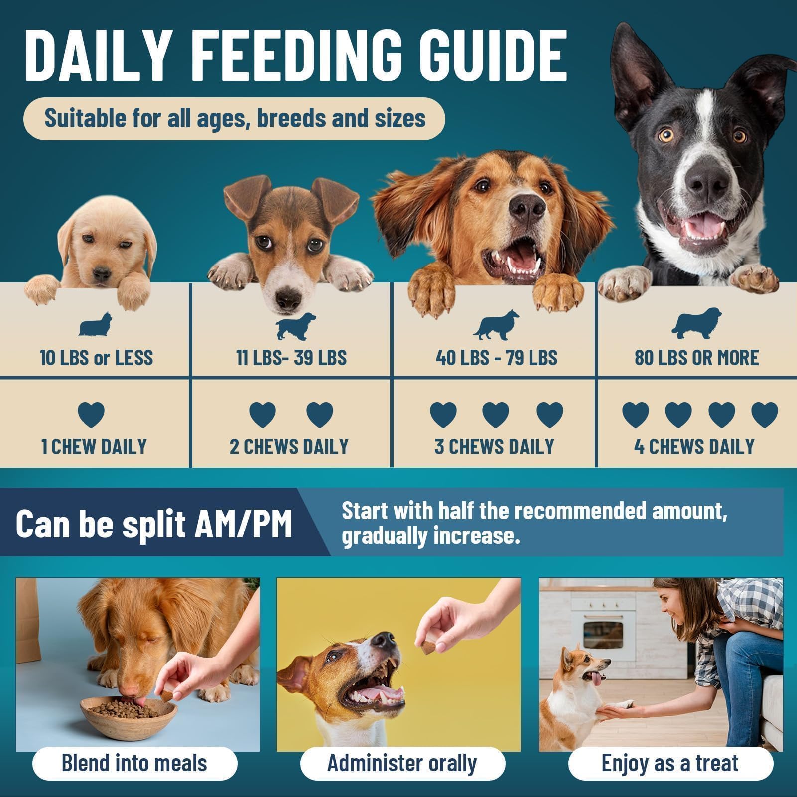 VICSOM Dog Probiotics chews on a dish ready to eat with chicken flavor.