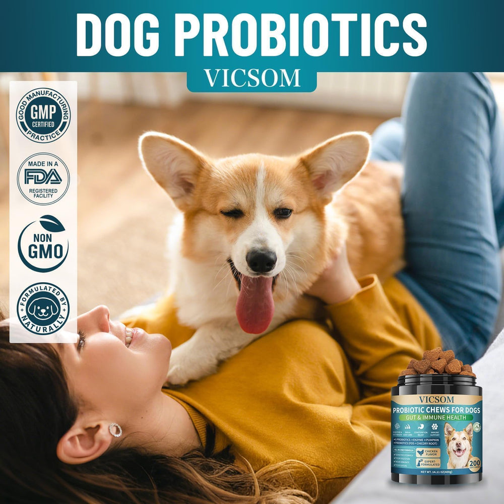 VICSOM packaging signals daily gut and skin support for dogs.