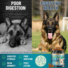 VICSOM Dog Probiotics jar shows 200 chews for long-lasting wellness.