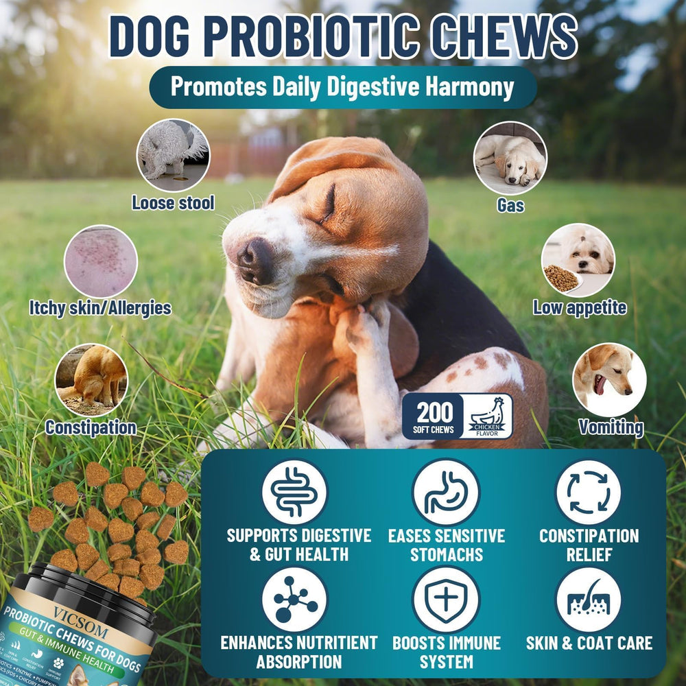VICSOM Dog Probiotics chews close-up highlights chicken flavor for picky eaters.