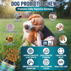VICSOM Dog Probiotics chews close-up highlights chicken flavor for picky eaters.