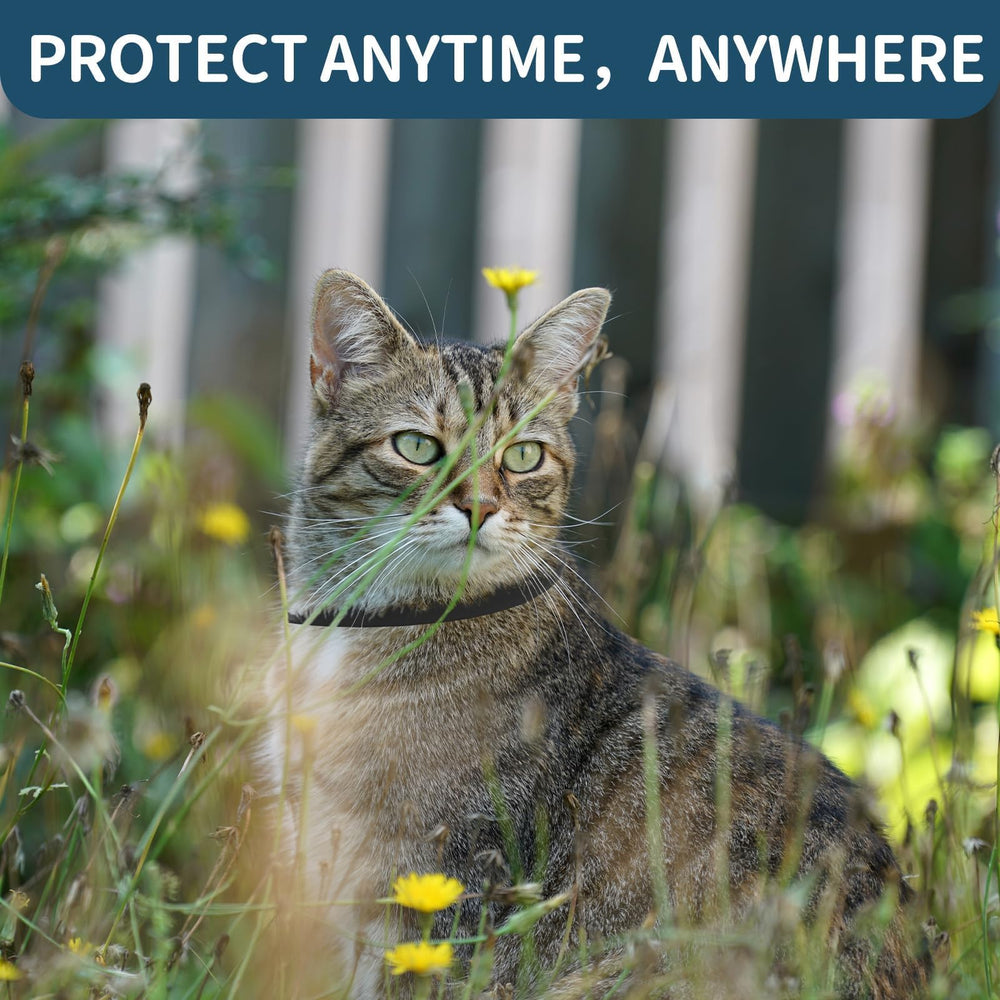 VICSOM breakaway safety mechanism demonstrated for safe everyday use.