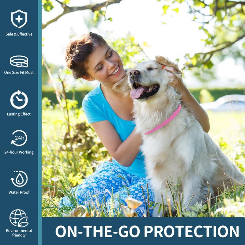 VICSOM four-pack display emphasizes value and ready-to-use protection.