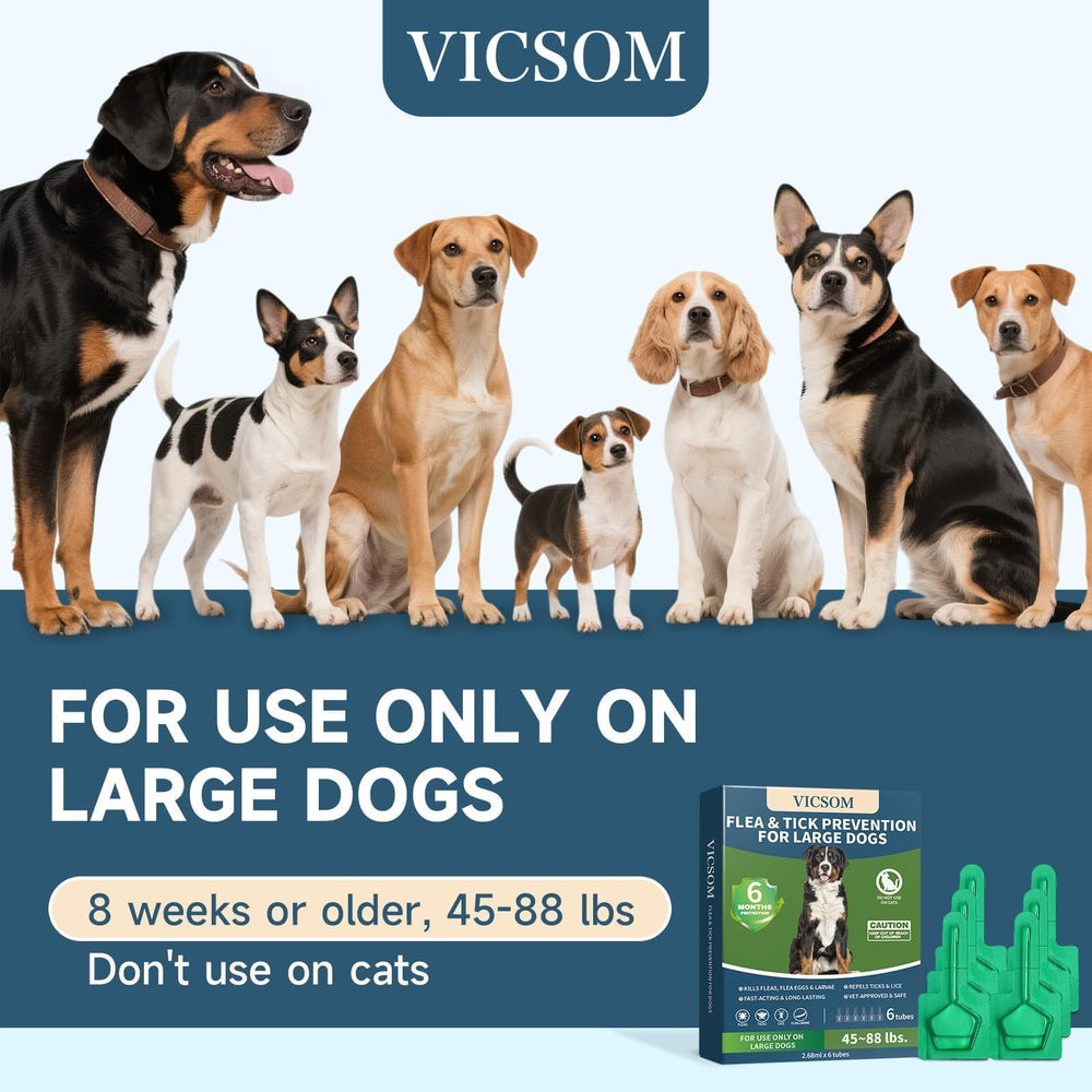 VICSOM-large-dog care setup during outdoor walk in sunlight