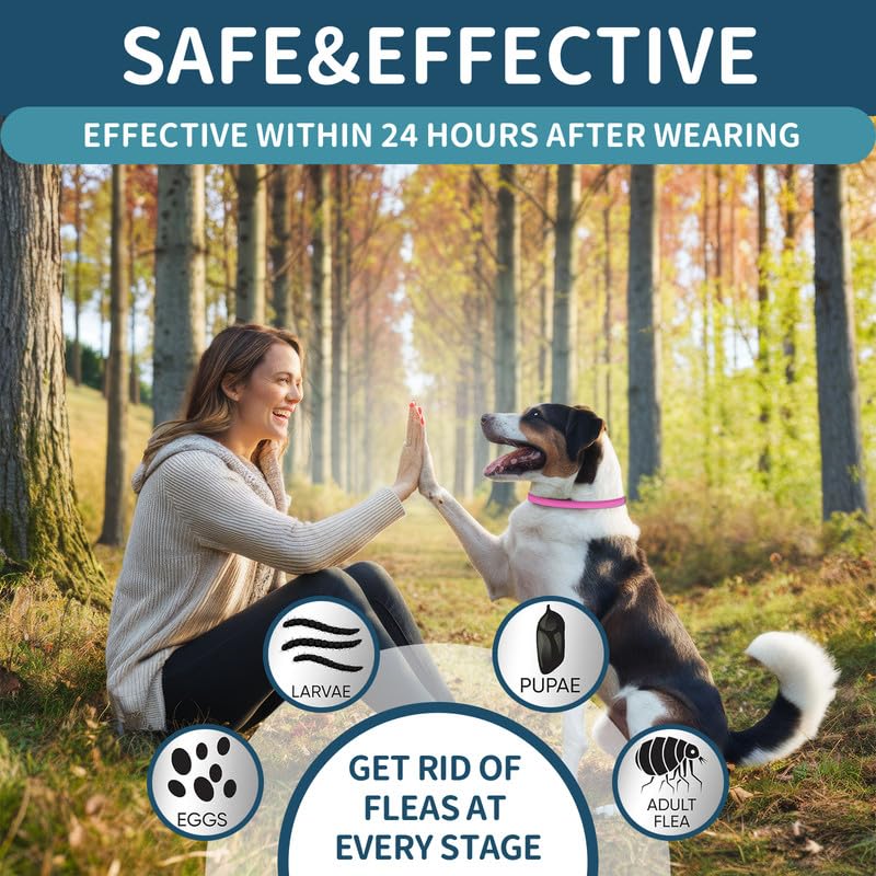 VICSOM water-resistant collar close-up highlights durable, all-weather design.