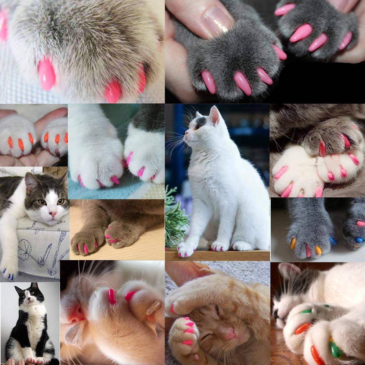 VICTHY cat nail caps adhesives close-up highlighting safe non-toxic bonding for secure fit