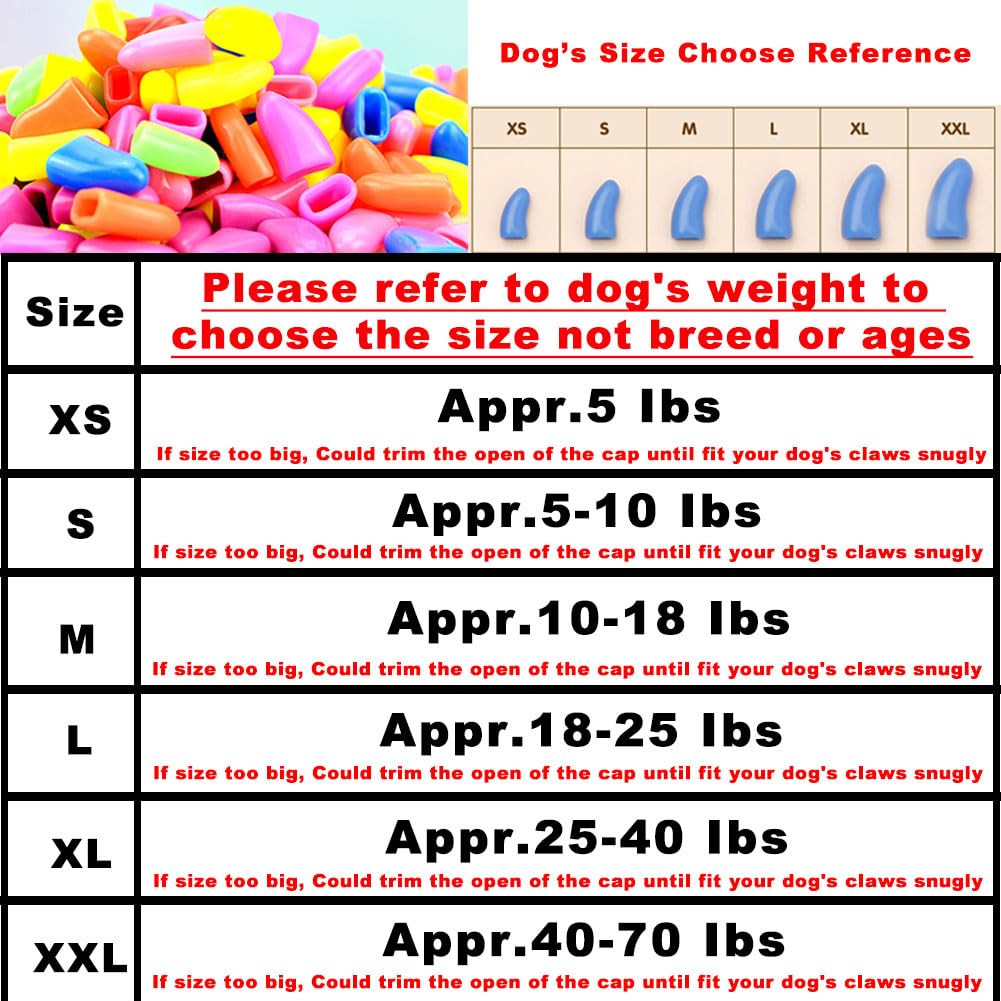 VICTHY close-up on paw showing nail caps wrapped around claws.