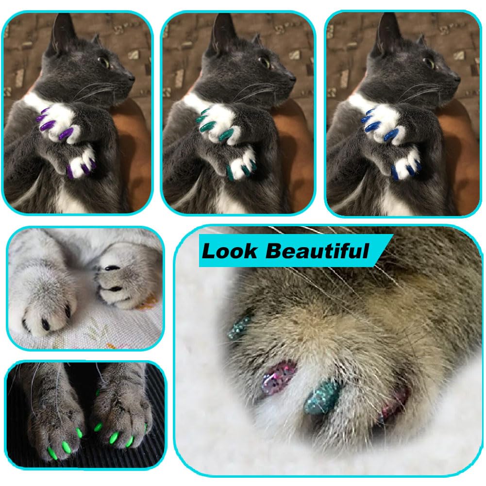 VICTHY step-by-step application visuals assist two-person setup.