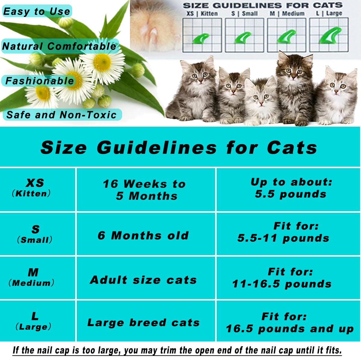 VICTHY nail caps applicators included enabling easy at-home fit