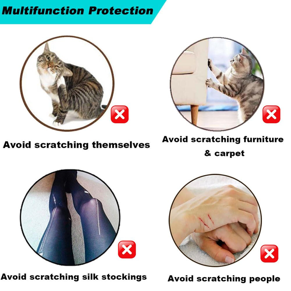 VICTHY cat nail caps on paw showing protective barrier against scratching