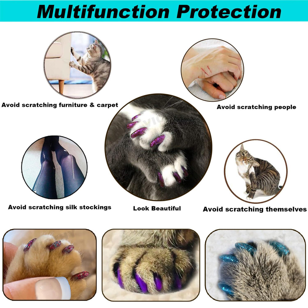 VICTHY nail caps fitted over a cat's claw to reduce damage during play.