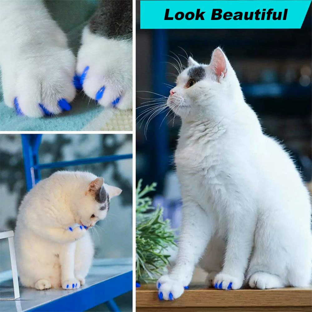 VICTHY safety-rated materials ensure non-toxic padding and comfortable wear for cats.