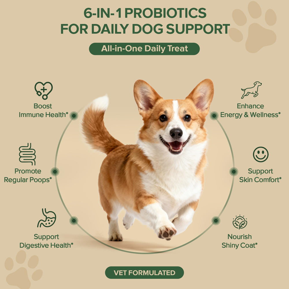 VientoSeek Duck Probiotics bottle-label detail highlights natural ingredients and grain-free formula.