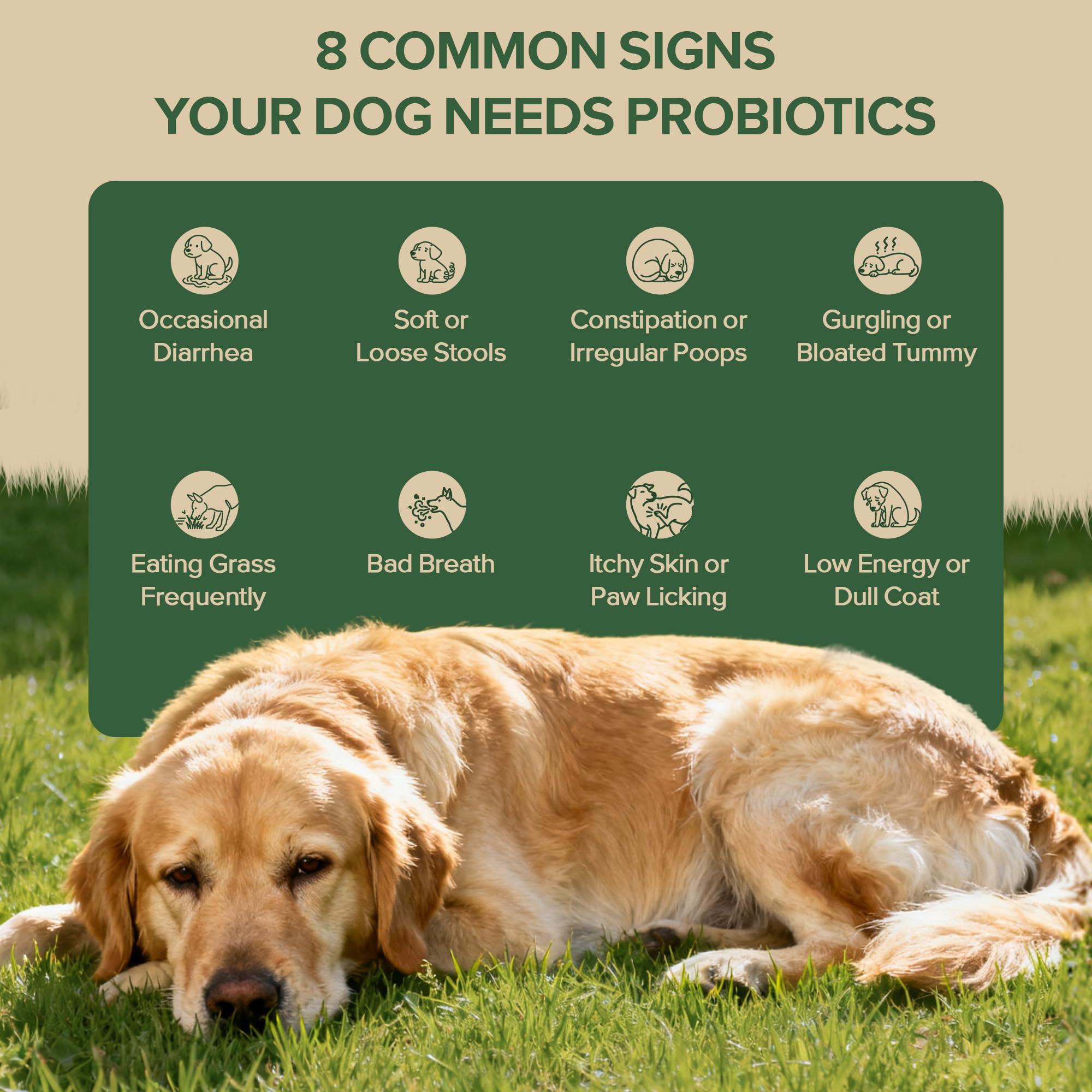 VientoSeek Duck Probiotics omega-3 oils promoting healthy coat shine.