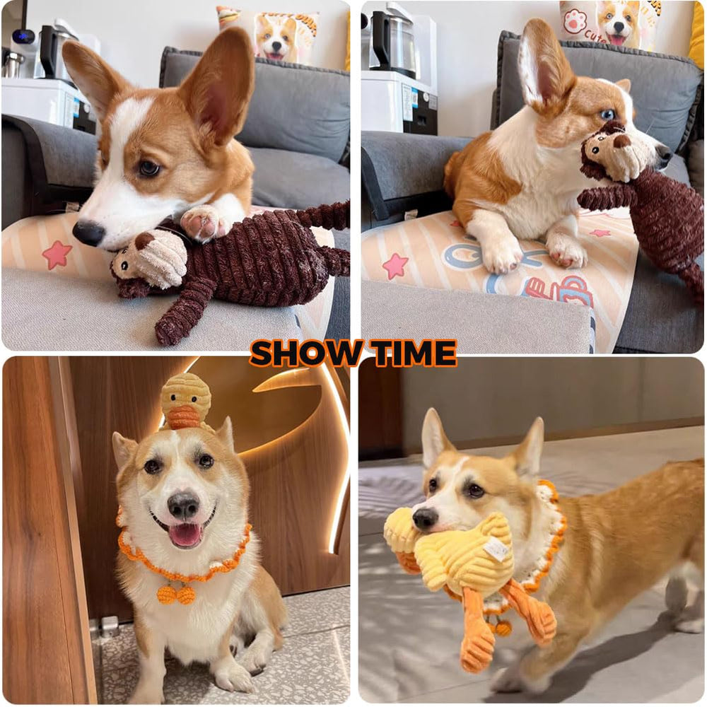 VIFINE 5-pack bundle offers versatile squeaky fun for medium to large dogs.