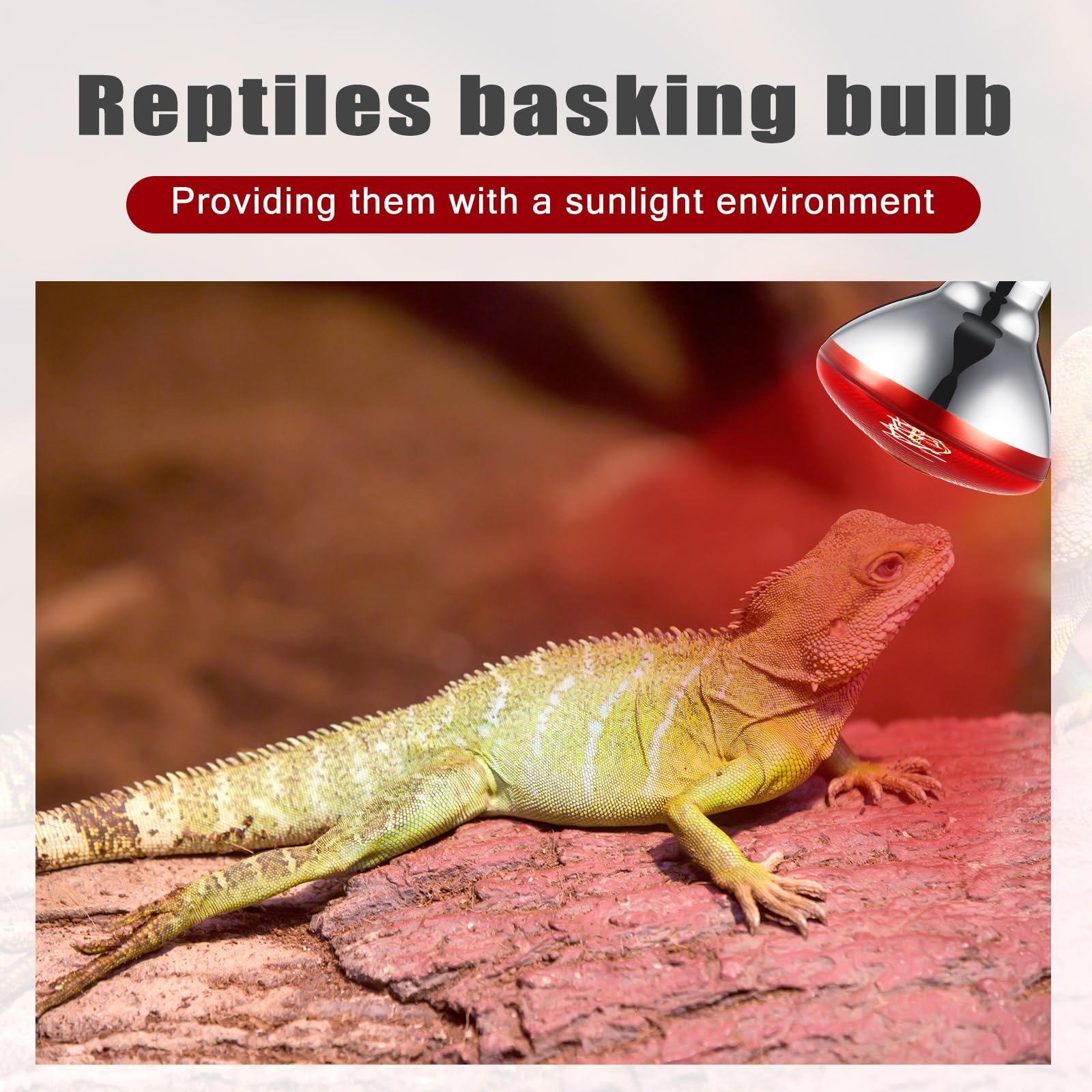 VIHOSE heat lamp in poultry enclosure warming chicks comfortably