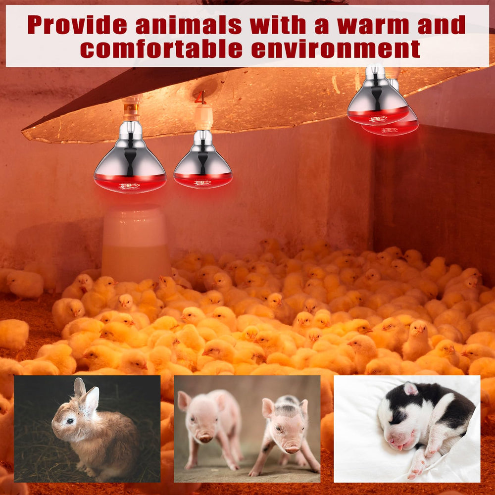 VIHOSE heat lamp in reptile habitat maintaining ambient warmth