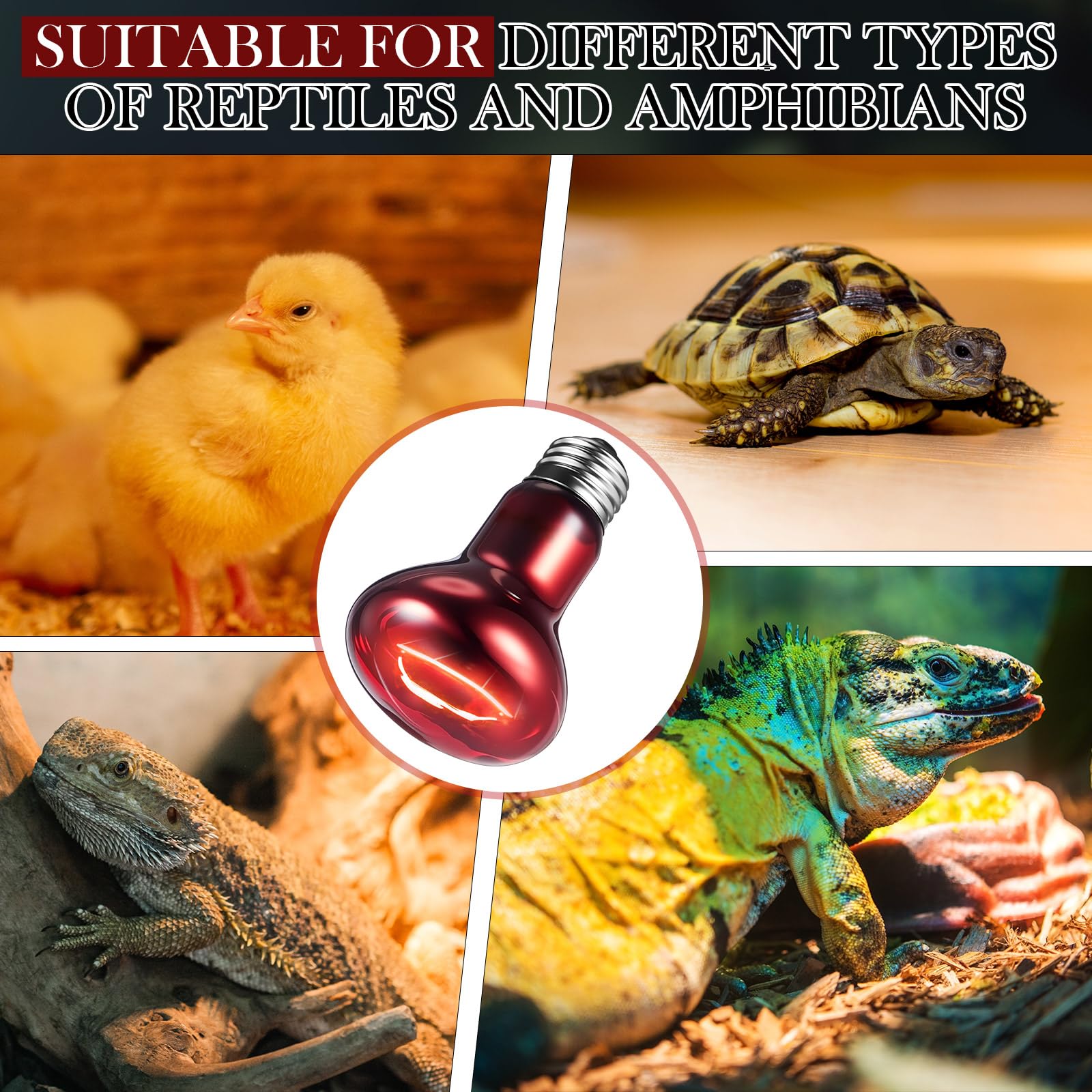 VIHOSE leopard gecko warmth bulb supports active nocturnal or daytime viewing.