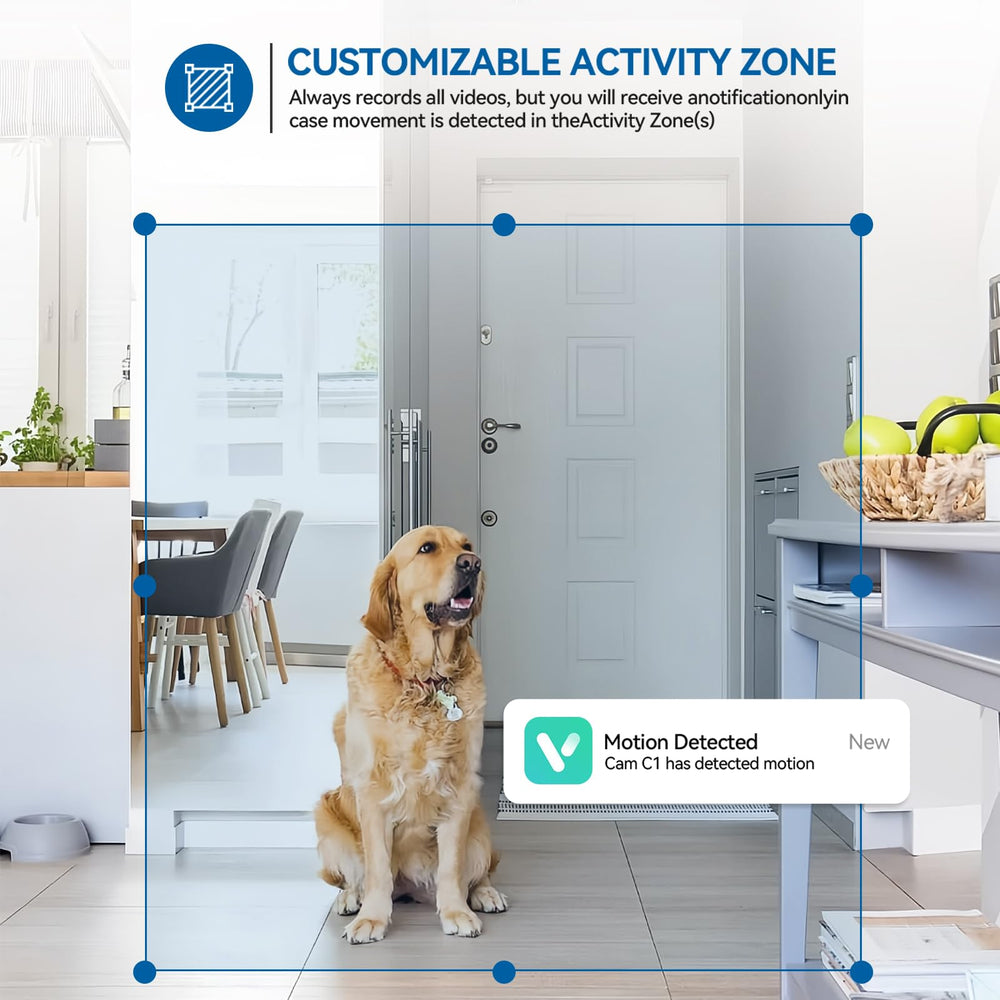 Viigytek cloud and SD storage keeps footage safely accessible.