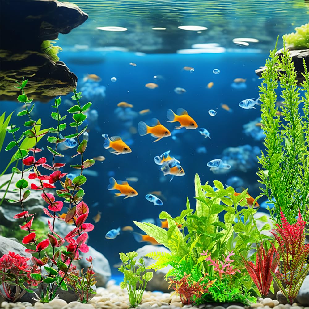 ViiWxx easy-setup requires no trimming or substrate, letting you enjoy watching fish more.