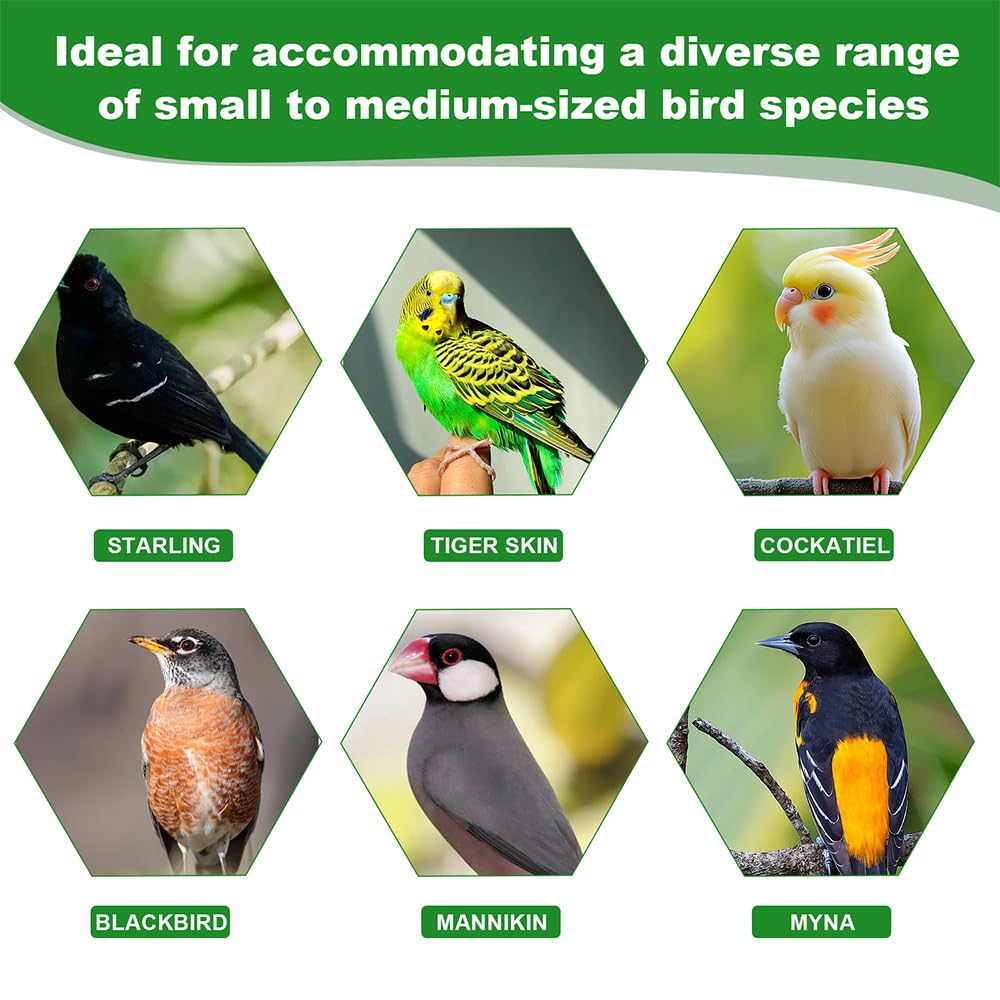 ViiWxx mess-free hydration reduces spills and simplifies cage upkeep.