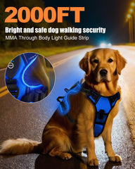 Villabliss harness reflective stitching enhances safety during dusk walks.