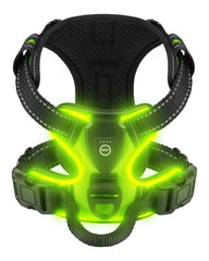 Villabliss lighted harness back view for nighttime visibility during walks