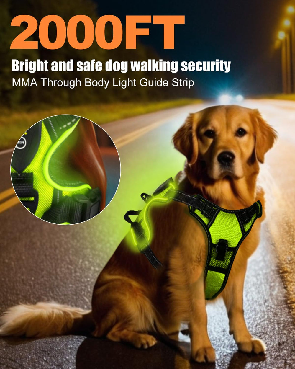 Villabliss lighted harness front light attachment highlights night-time illumination