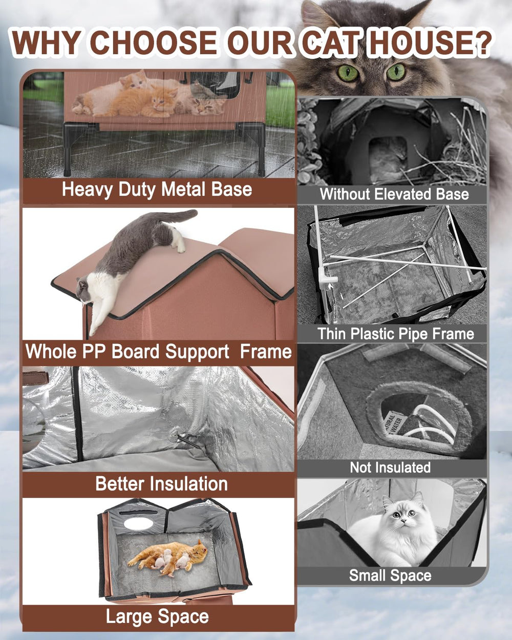 VILRAK two-exit design offers safe escape for feral cats.
