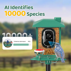 VIMKIM 2K live stream captures vivid birds day and night