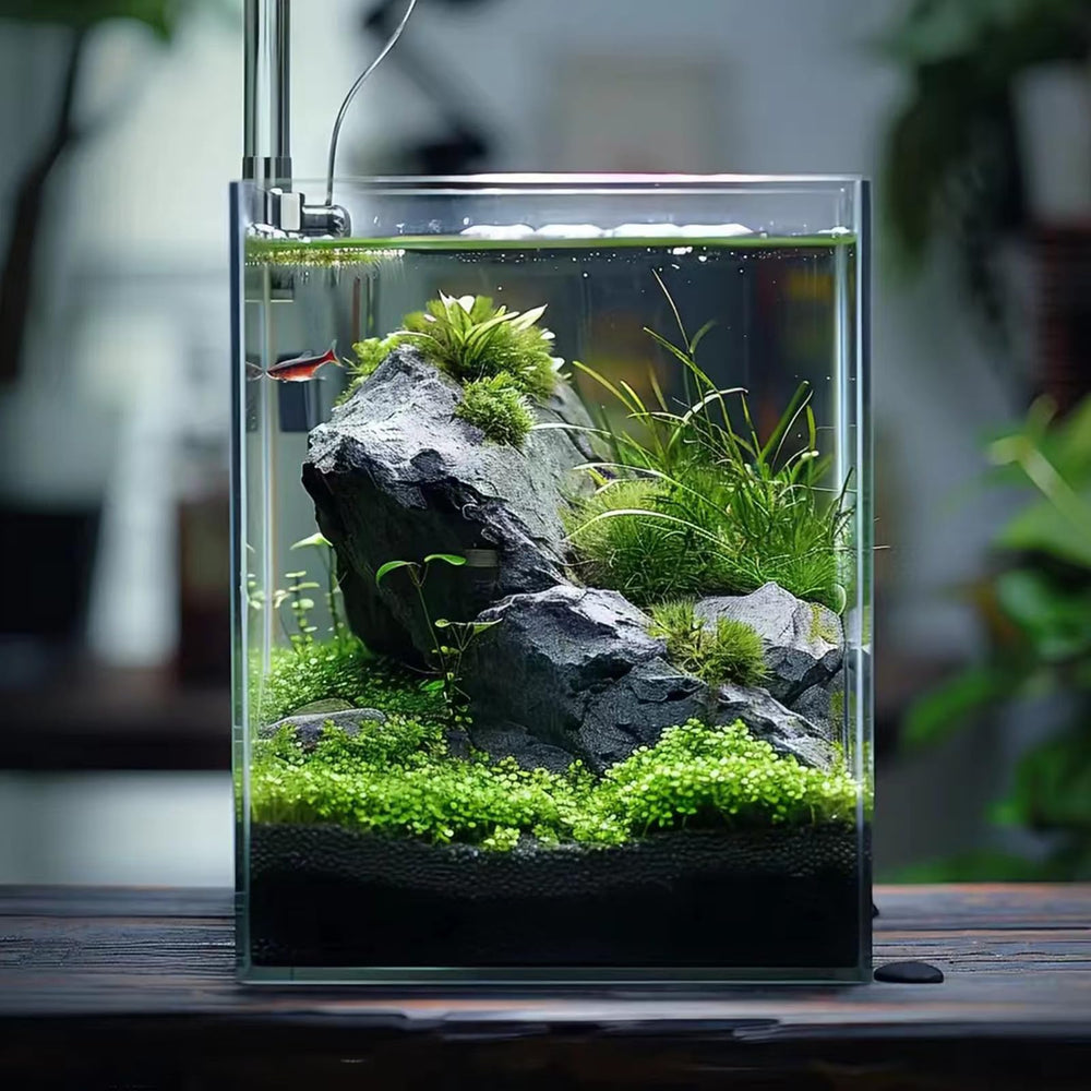 Vimvins 2-gallon planted aquascape demonstrates flexible micro landscape options.