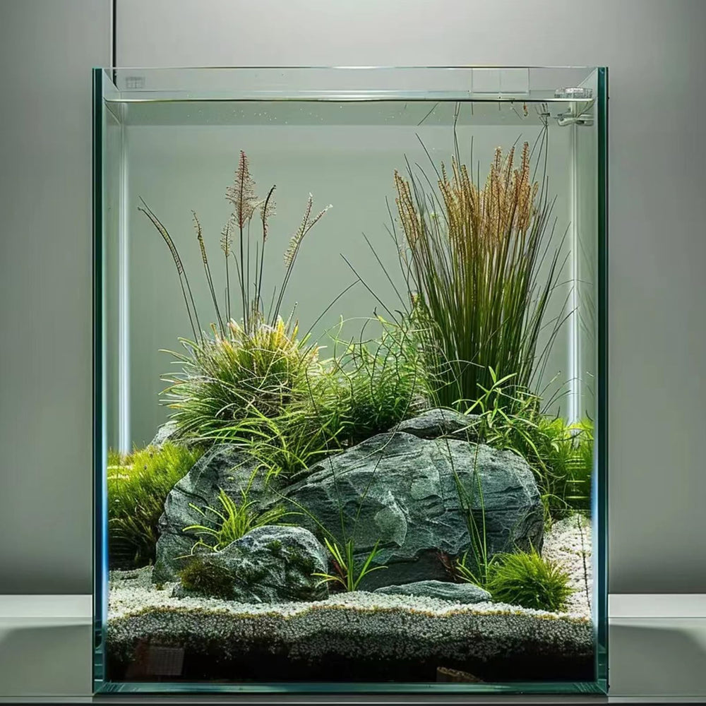 Vimvins 3-Gallon Glass Fish Tank front view showcases compact desktop aquarium with crystal-clear visibility