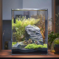 Vimvins 3-Gallon Glass Fish Tank top view highlights clear water and plant silhouettes