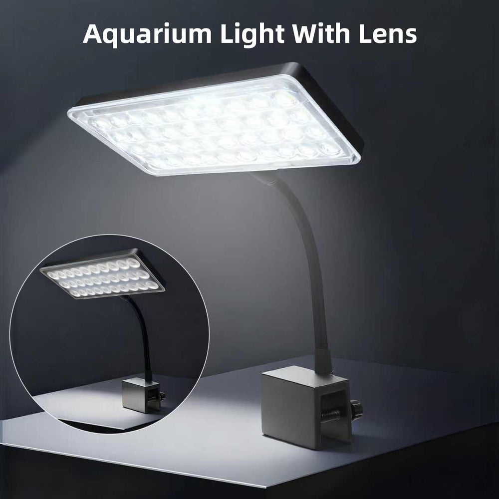 Vimvins beginner-friendly aquarium setup illustrates easy-to-follow steps for new keepers.