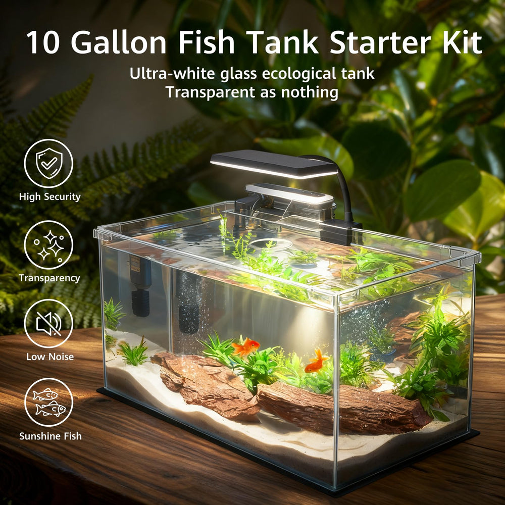 Vimvins dimmable LED aquarium light demonstrates natural light cycle for vibrant fish colors.